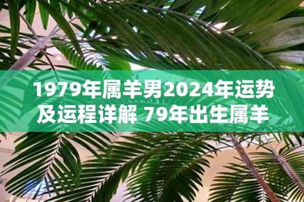 属羊虚岁今年多大 2024属羊人虚岁年龄对照表今年多大一查便知