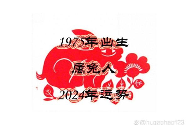75属兔的今年每月运势怎么样_1975属兔走大运在哪一年