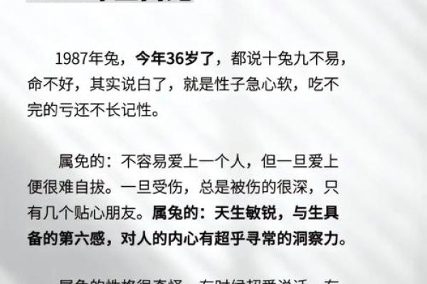 1987属兔男2025年全年运势 2025年属兔男全年运势详解1987年出生者每月运程吉凶