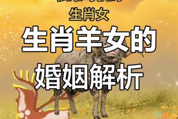 属羊的最佳婚配属相表_属羊女人最佳丈夫