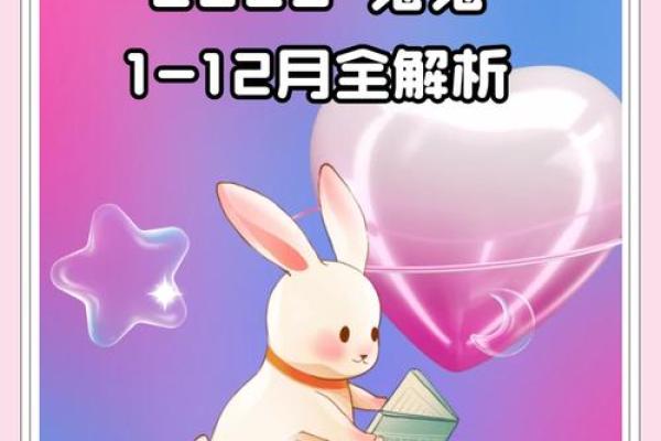 1951年十一月属兔寿命解析1951年11月属兔寿命指南