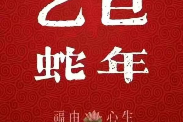 2025生肖蛇的运势_2025年十一月生肖蛇运势解析2025年11月属蛇运程指南