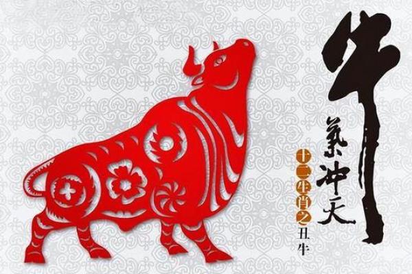1997年属牛2024年运势及运程 97年牛过了27岁会越来越好