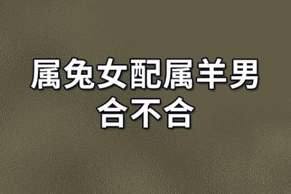 属羊和属羊的婚配好不好_两只羊活不长是指夫妻吗