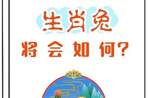 2025年属兔每月运势_属兔之人2025年运势
