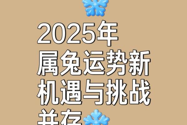 属兔2025年多少岁_属龙的今年是多少岁