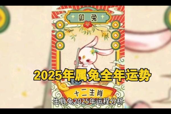 兔年今年运势2025_2025属兔的大忌