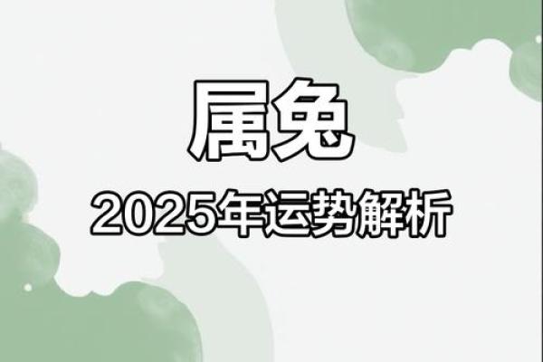 属兔人2025忌讳颜色_2025属兔最旺颜色
