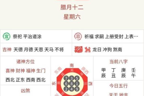 兔2025年运势_2025年十一月生肖兔运势解析11月运程吉凶指南
