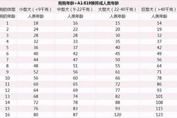 2025属羊的人今年多大_属狗的有多大年龄