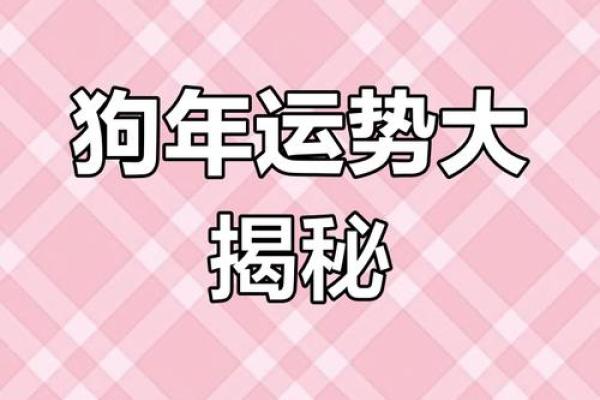 1982年属狗2025年运势及运程_2025年属狗全年运势详解1982年出生者运程指南