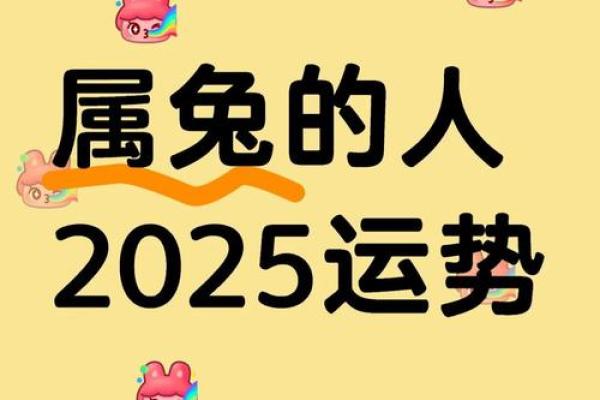 2025属兔的今年多大年龄_2025年十二月属兔年龄解析2025年12月生肖兔岁数对照表