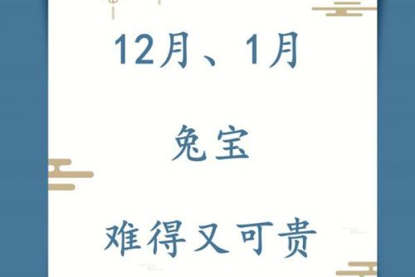 87兔2025年运势_2025年87兔运势全解析各月112月运程指南