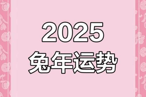 1987年属兔2025年运势完整版_2025年十一月运势解析1987年属兔11月运程完整版