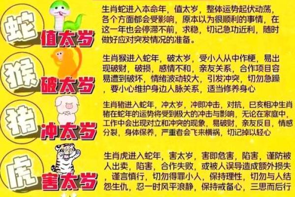 2025年属羊运势完整版79女 79年羊2025年运势