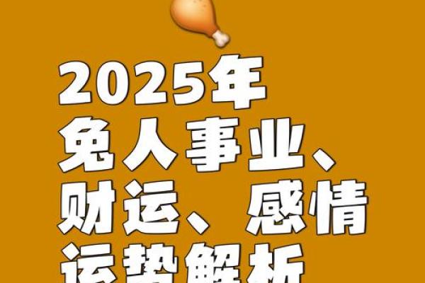 兔2025年的全年运势如何_2025年兔年运势全解析生肖兔二〇二五每月运程指南