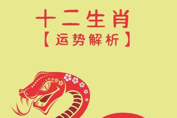 兔2025年的全年运势如何_2025年兔年运势全解析生肖兔二〇二五每月运程指南