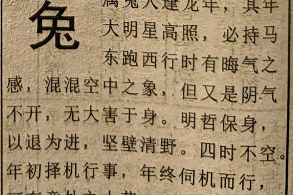 2024年属兔人每月运势全解析2024年112月生肖兔运程指