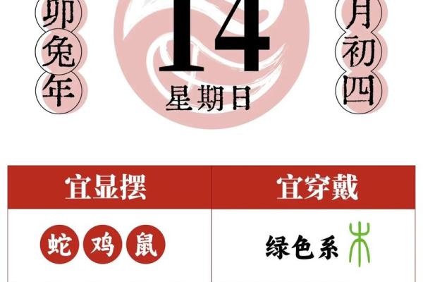 2024年属兔人每月运势全解析2024年112月生肖兔运程指