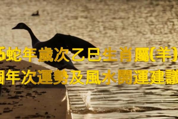 2025属羊一鸣惊人_1991年属羊33岁有一道坎