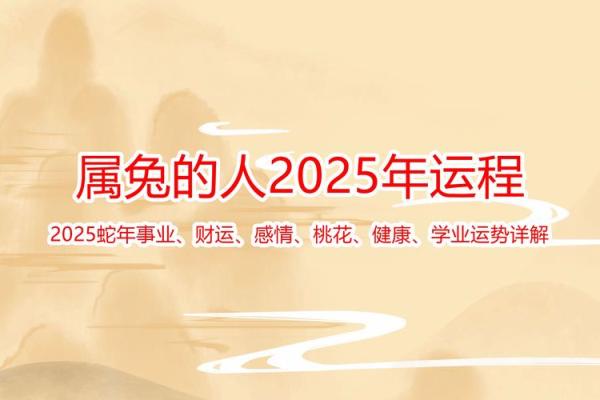 1963年属兔人2025年运势_2025年逐月运势详解1963年属兔人运程指南
