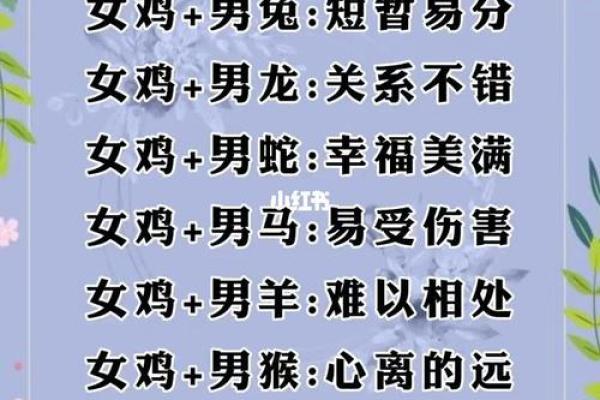 属兔的正缘什么时候到 2024年十月正缘运势解析属兔人姻缘最佳月份10月