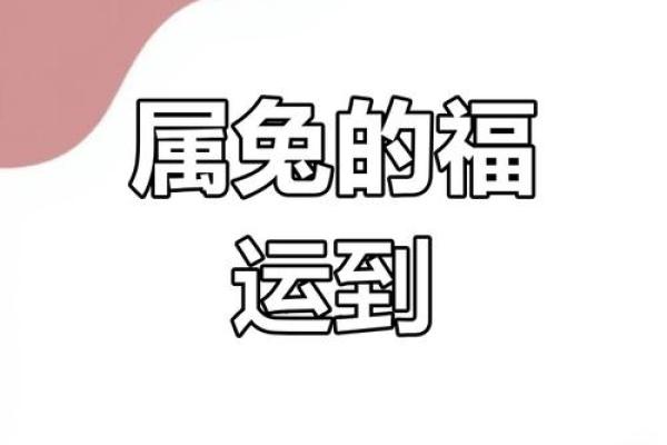 63年属兔2023年十月财运解析2023年10月生肖兔今日运