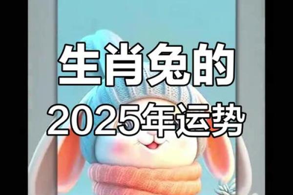 属兔人今年运势2025年运势 属兔2025年必有一难