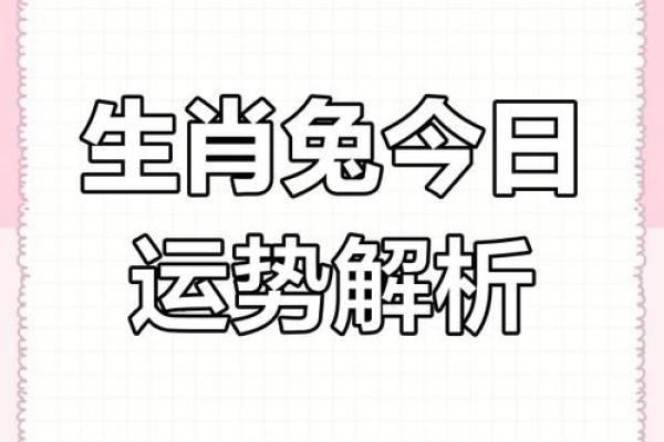87年属兔男在2025年的全年运势详解_2025属兔男的全年运势