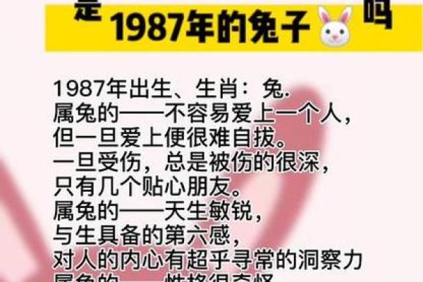 87年属兔的2026年运势怎么样 2026年属兔人全年运势解析87年兔2026整年运程指南