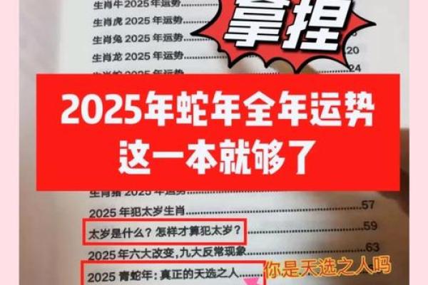 属羊人2025蛇年运势详解全年运程吉凶预测与建议