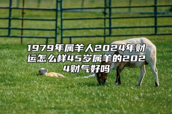 2025年属羊人全年运势解析1979年出生者运程吉凶预测