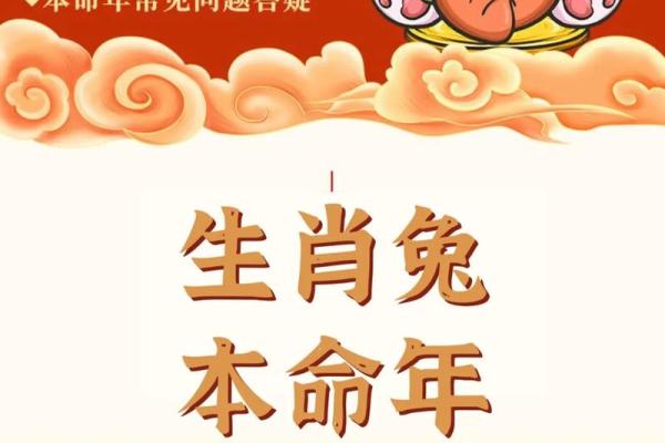 2025年二月属兔犯太岁吗2025年2月运势解析