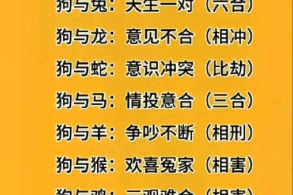 属虎和属羊姻缘如何生肖配对解析与幸福指南