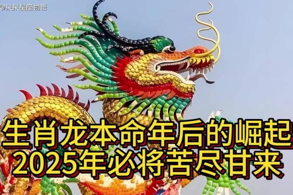 属龙人2025年多大_属龙的20几岁