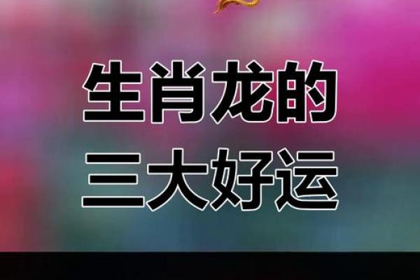 2024年属龙下半年要出大事 2024年属龙下半年运势大揭秘重大事件即将发生