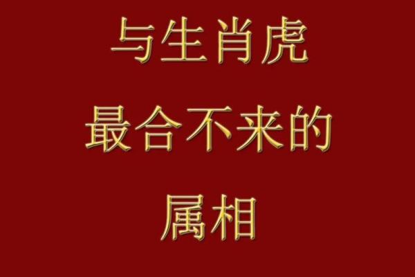 属虎最佳婚配属相_属虎女最佳婚配属相