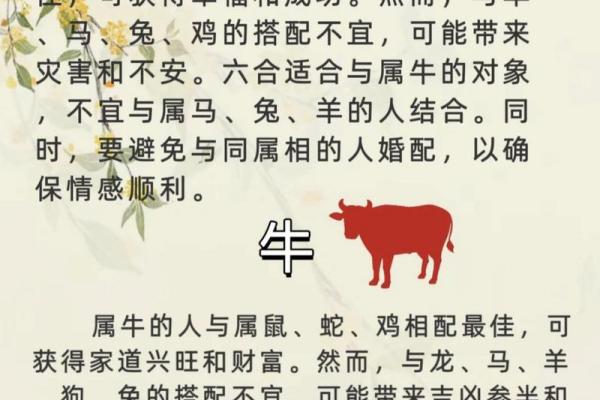 属兔女和属虎男相配吗_属兔女和属虎男相配吗几等婚