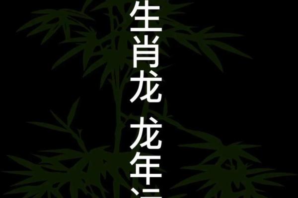 属龙的人2025年运势_2025年生肖龙的运势
