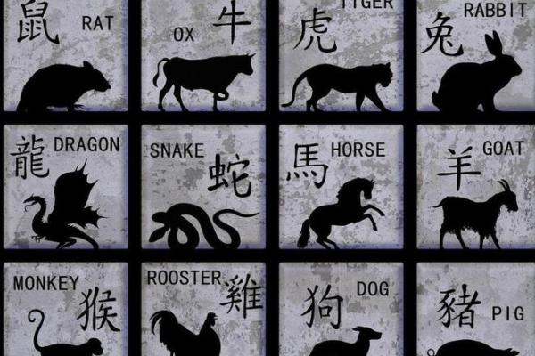 属羊是哪年出生的_属鸡是哪年出生的