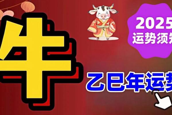 2025年属牛的运势 2025年属牛人十一月运势详解2025年11月运程吉凶指南
