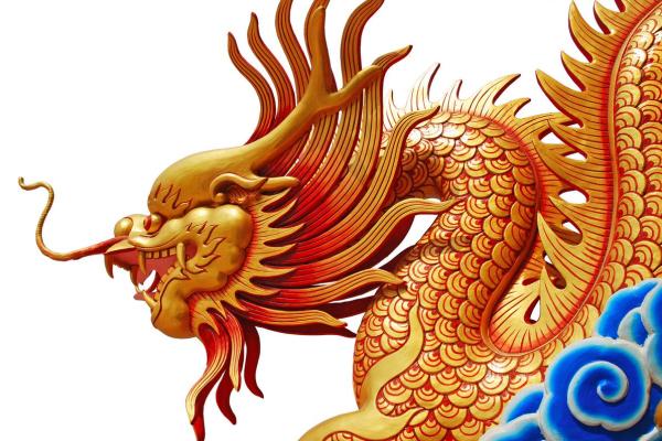 2012年属龙一生学业 2012年属龙一生学业运势解析学业成就与未来展望
