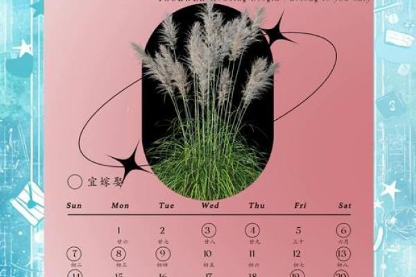 结婚吉日怎么算2024年最佳婚期指南