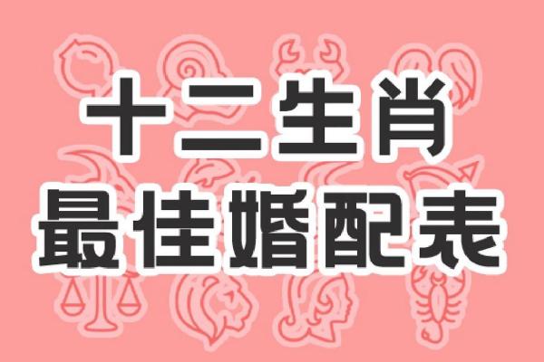 74年属虎的属相婚配表_1974年属虎的最佳配偶 和什么属相最配