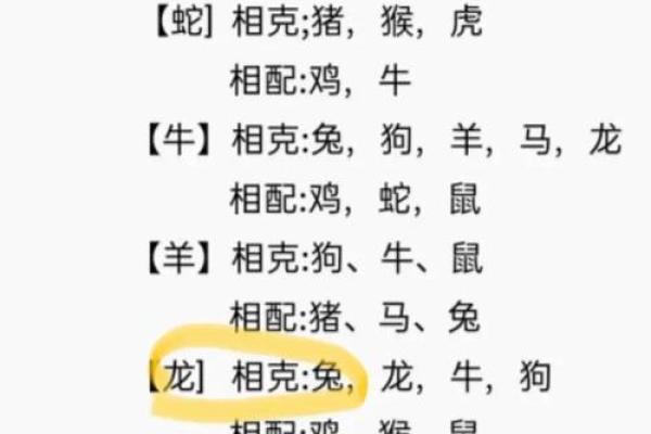 属相龙和什么属相合和什么属相不合 属相龙最佳配对与相克属相解析