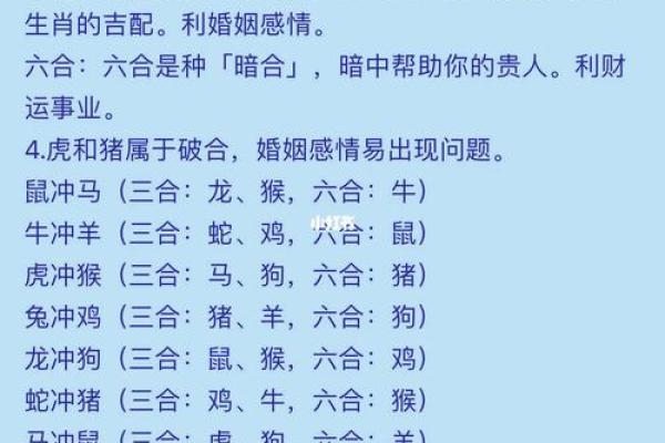 属相龙和什么属相合和什么属相不合 属相龙最佳配对与相克属相解析