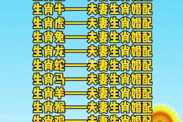 96属什么的生肖_96属什么的生肖婚配