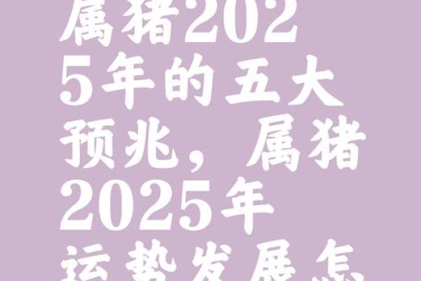 属猪年是哪几年生的_属猪年是哪几年生的详细年份解析与运势分析