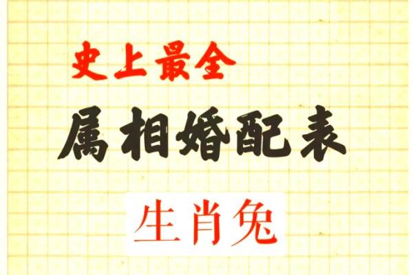 2019年出生的小孩属什么生肖 2019年出生的小孩属什么生肖生肖解析与运势预测
