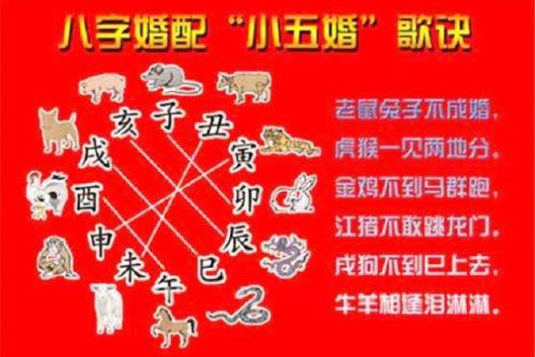 1986年属虎的最佳婚配 1986年属虎最佳婚配指南生肖配对与幸福婚姻秘诀